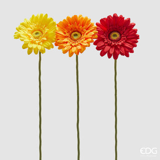 tre fiori di gerbera rosso, arancione, giallo