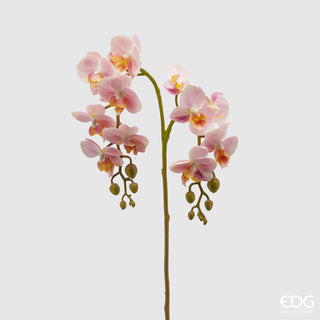 orchidea phalaenopsis ramo da 62 cm variante rosa.