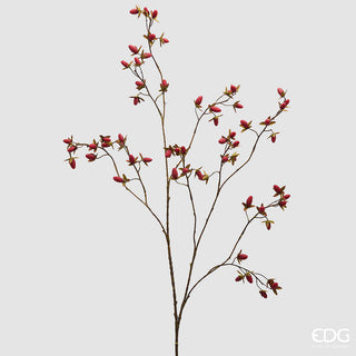 rosa canina con ramo senza foglie da 120 cm color rosso vivo.